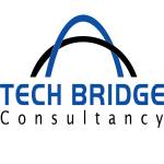 Tech Bridge